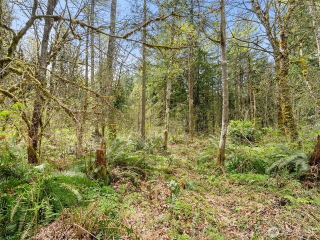 67 XX 258th Avenue NE, Redmond, WA 98053