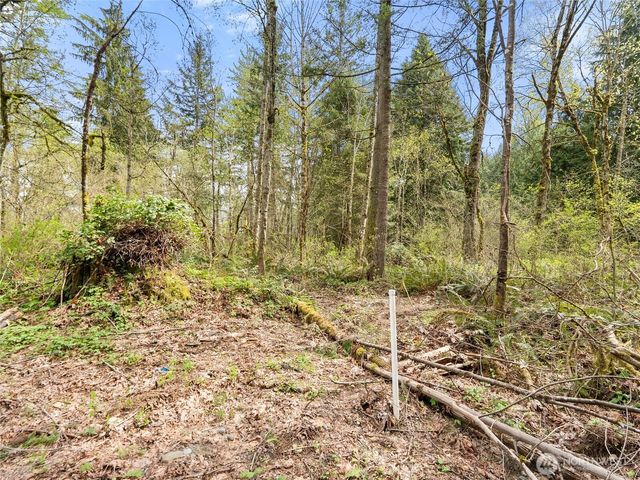 67 XX 258th Avenue NE, Redmond, WA 98053