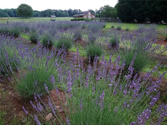 442 Buffalo Creek Road, Carrollton, GA 30117