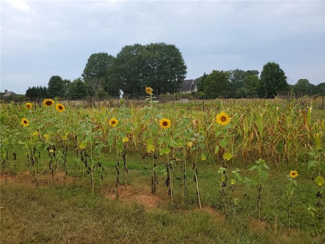 442 Buffalo Creek Road, Carrollton, GA 30117