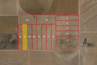 Leopard Road, Ropesville, TX 79358