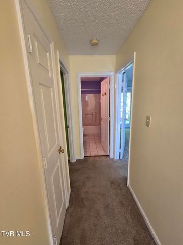 215 Windridge Colony 215, Johnson City, TN 37601