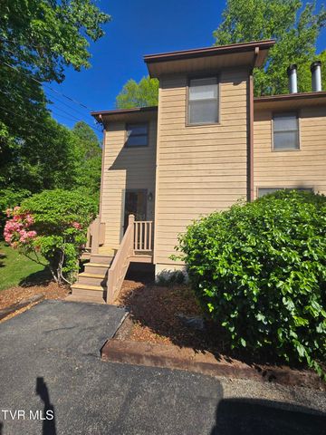 215 Windridge Colony 215, Johnson City, TN 37601