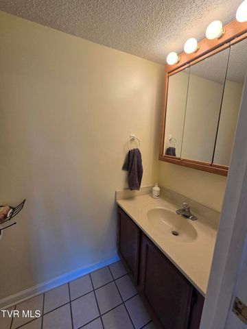 215 Windridge Colony 215, Johnson City, TN 37601