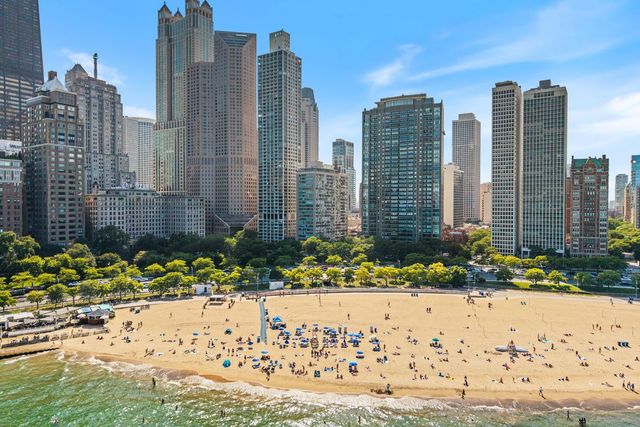 1000 N Lake Shore Drive 1709, Chicago, IL 60611