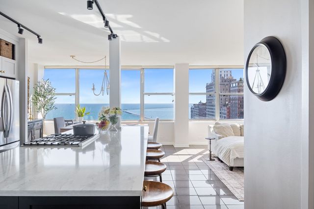 1000 N Lake Shore Drive 1709, Chicago, IL 60611