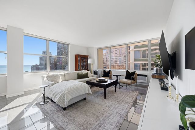 1000 N Lake Shore Drive 1709, Chicago, IL 60611