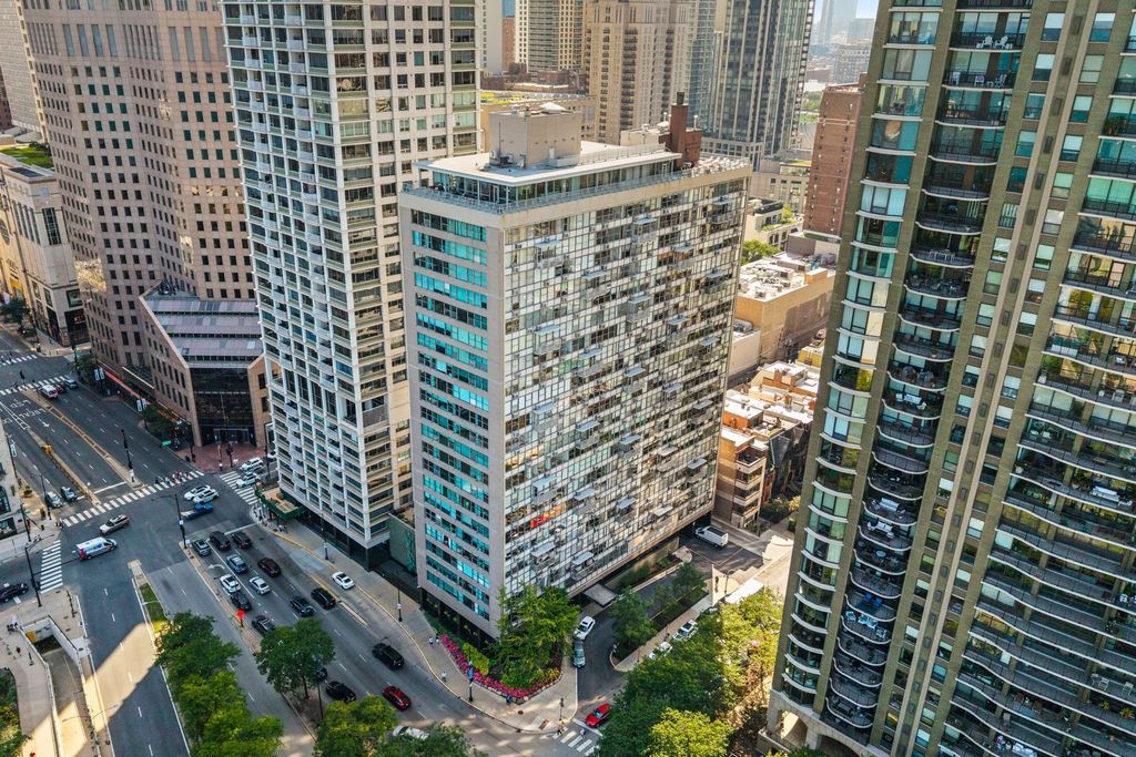 1000 N Lake Shore Drive 1709, Chicago, IL 60611