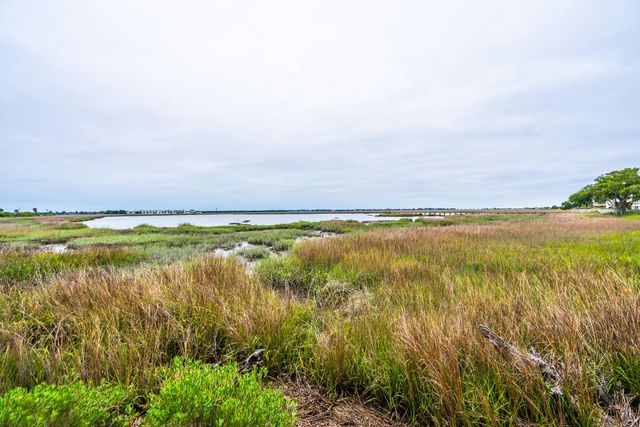 945 Cove Bay Lane 14, Mount Pleasant, SC 29464