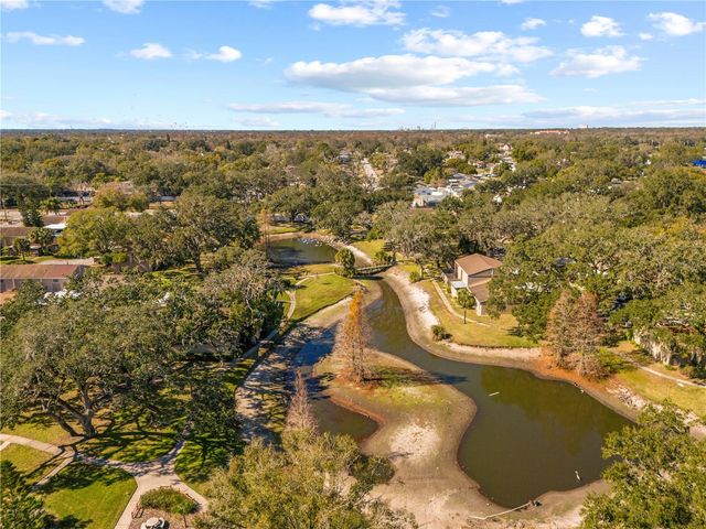 8606 PALM LANE, Temple Terrace, FL 33637