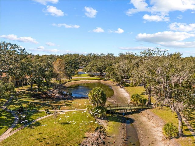 8606 PALM LANE, Temple Terrace, FL 33637