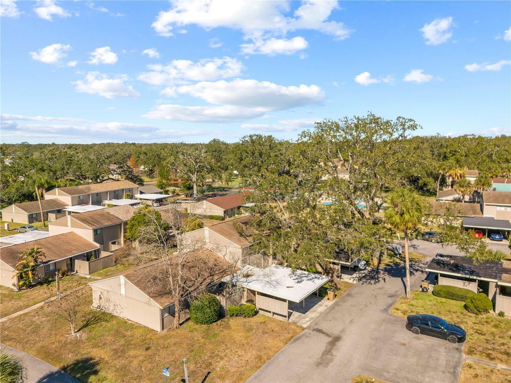 Image 39 of property listing at 8606 PALM LANE, Temple Terrace, FL 33637