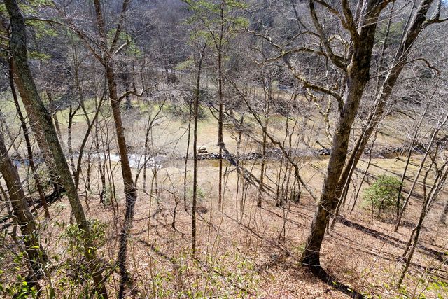 605 Owl Creek Road, Hiawassee, GA 30546
