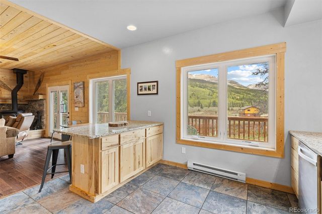 52 Coot Place, Alma, CO 80420