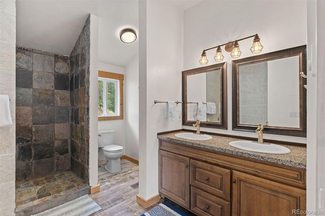 52 Coot Place, Alma, CO 80420