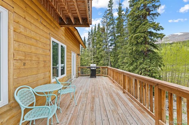 52 Coot Place, Alma, CO 80420