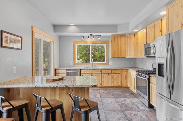 52 Coot Place, Alma, CO 80420