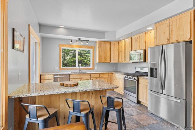52 Coot Place, Alma, CO 80420