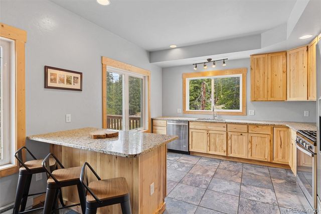 52 Coot Place, Alma, CO 80420