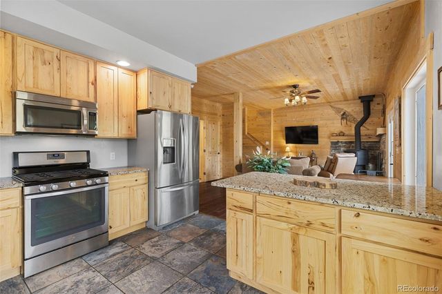 52 Coot Place, Alma, CO 80420