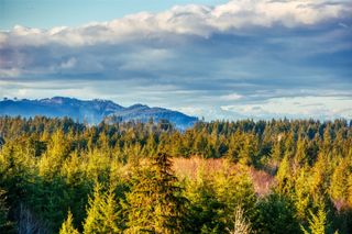 14010 Quiet Waters Lane SW, Rochester, WA 98579