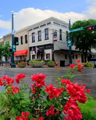 224 Bay Laurel Road, Mckinney, TX 75071