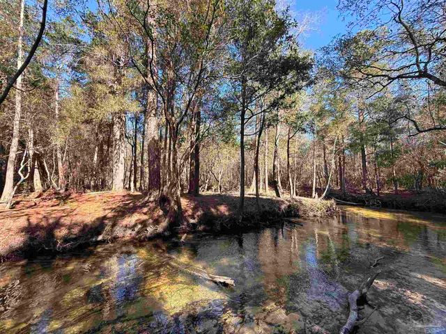 Lot 12 Brook Crossing St, Pace, FL 32571