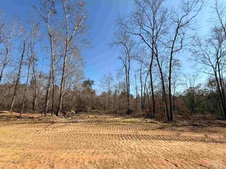 Lot 12 Brook Crossing St, Pace, FL 32571