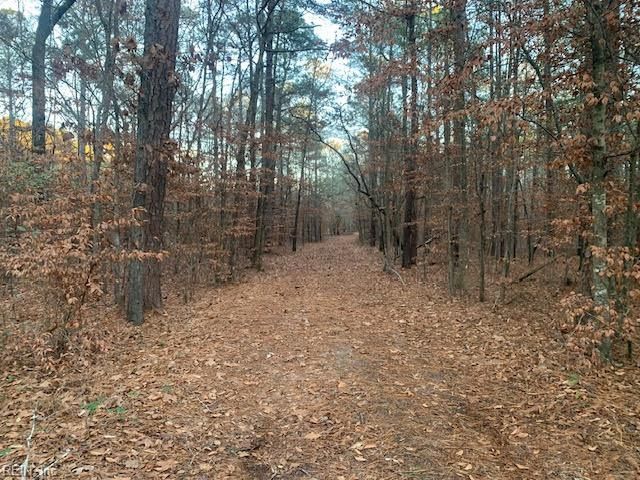 5217 Blackie LN, Zuni, VA 23898