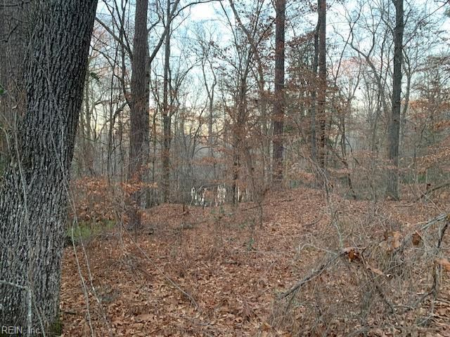 5217 Blackie LN, Zuni, VA 23898