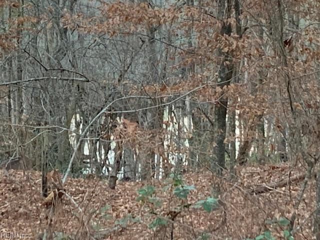 5217 Blackie LN, Zuni, VA 23898