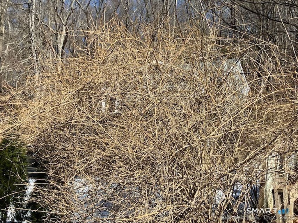 1 Parsons Drive, Waterbury, CT 06708