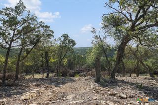 Tract 4 Mount Olive School Road, Wimberley, TX 78676