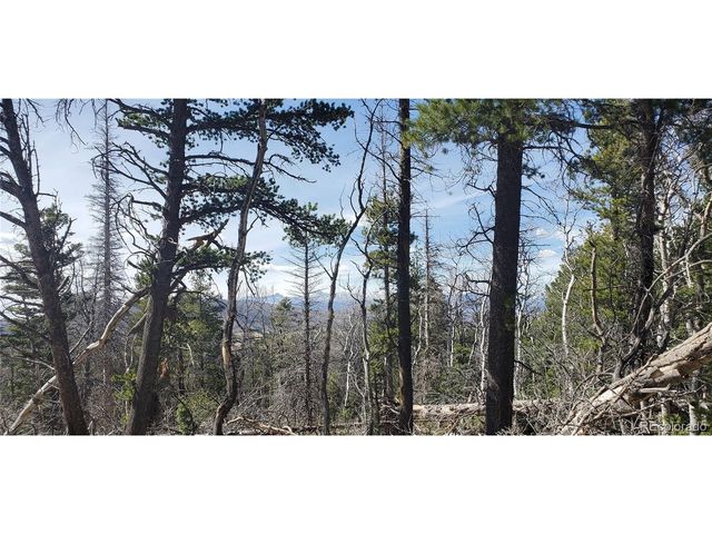 2560 Grojean Dr, Fort Garland, CO 81133