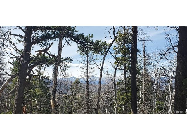 2560 Grojean Dr, Fort Garland, CO 81133