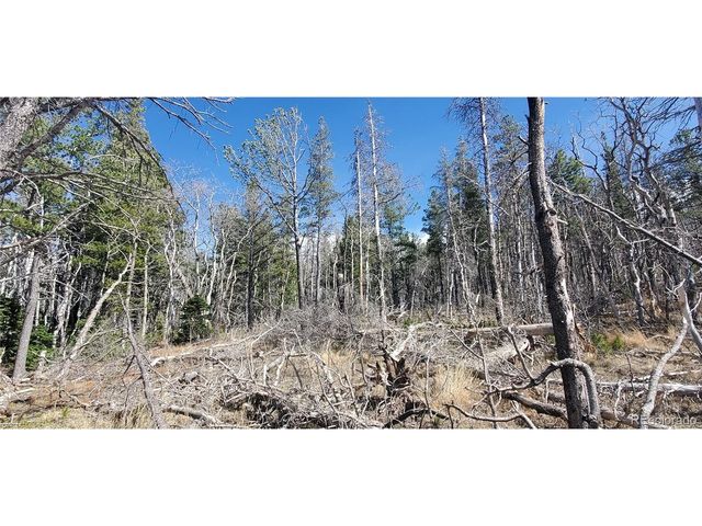2560 Grojean Dr, Fort Garland, CO 81133