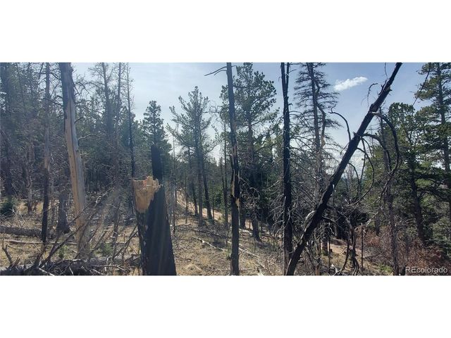 2560 Grojean Dr, Fort Garland, CO 81133