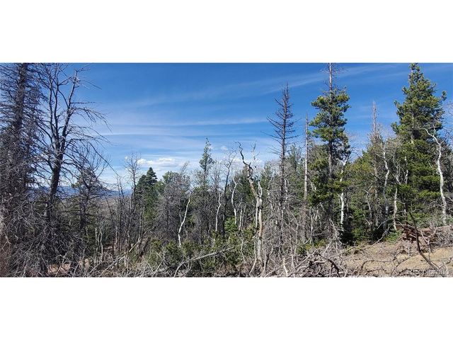 2560 Grojean Dr, Fort Garland, CO 81133