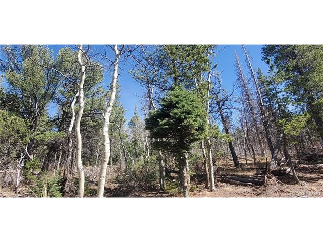 2560 Grojean Dr, Fort Garland, CO 81133