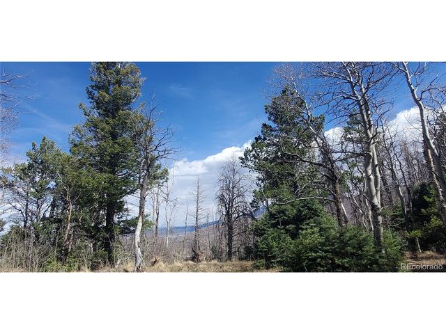 2560 Grojean Dr, Fort Garland, CO 81133