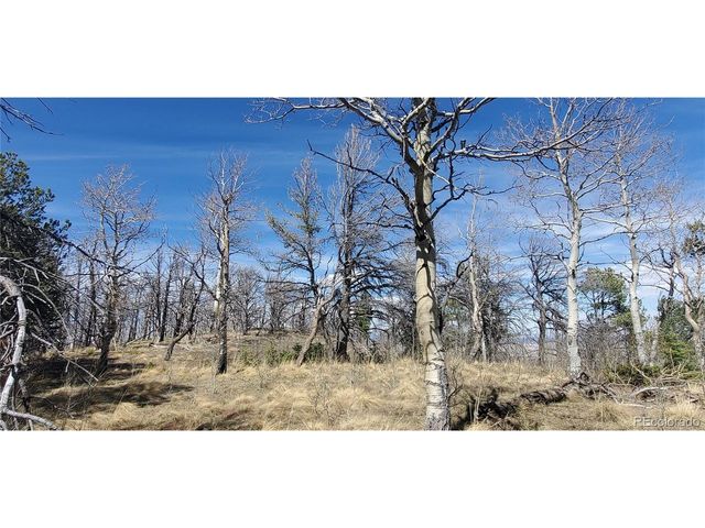 2560 Grojean Dr, Fort Garland, CO 81133