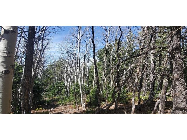 2560 Grojean Dr, Fort Garland, CO 81133