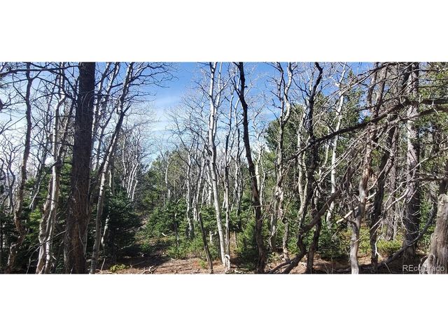 2560 Grojean Dr, Fort Garland, CO 81133