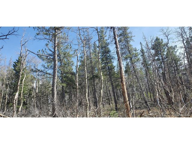 2560 Grojean Dr, Fort Garland, CO 81133