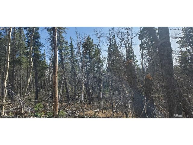 2560 Grojean Dr, Fort Garland, CO 81133