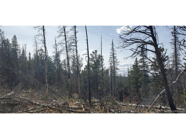 2560 Grojean Dr, Fort Garland, CO 81133
