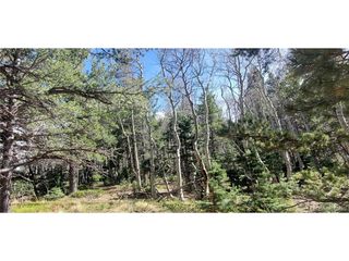 2560 Grojean Dr, Fort Garland, CO 81133