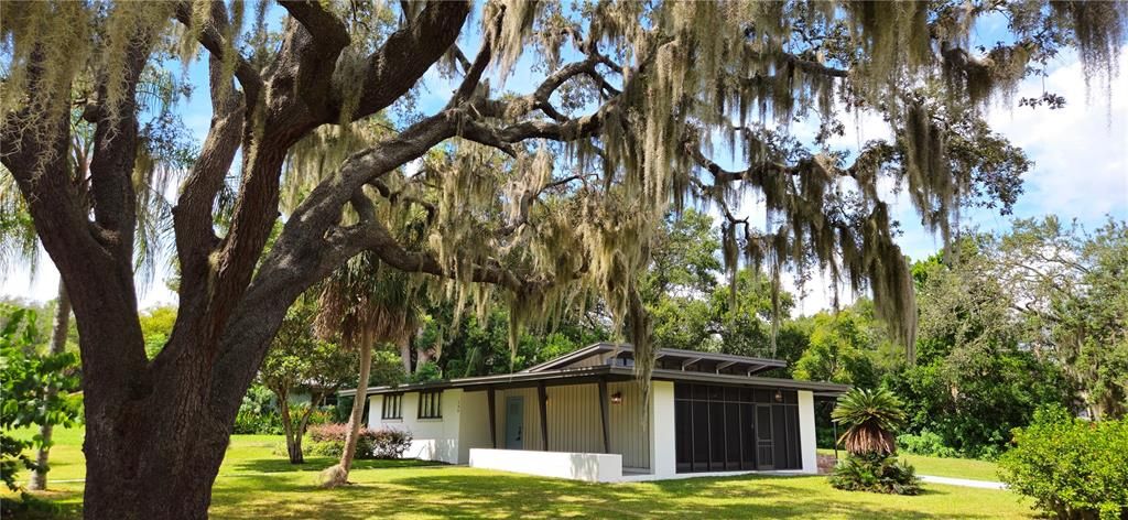 126 E CYPRESS AVENUE, Howey In The Hills, FL 34737