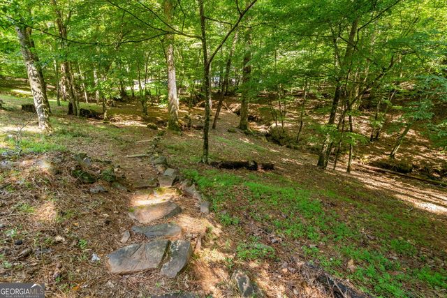 611 Monocle Drive 3086R, Ellijay, GA 30540