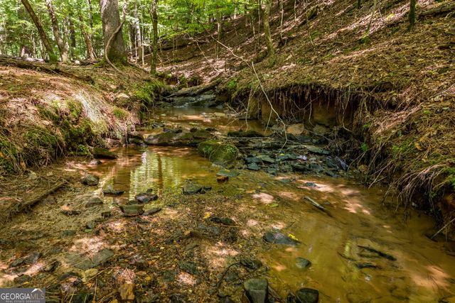 611 Monocle Drive 3086R, Ellijay, GA 30540